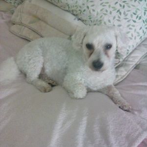 Meet your Posher, Sally